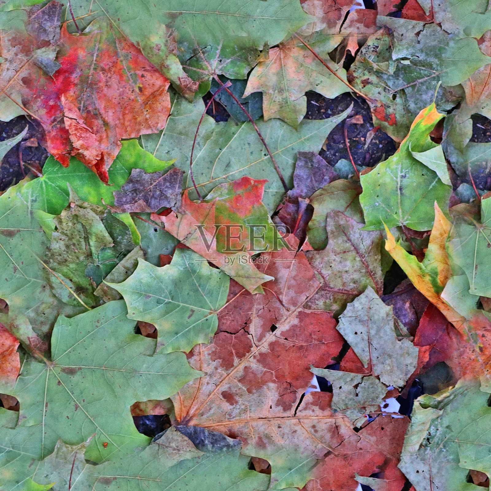 照片逼真的无缝纹理图案的秋天的树叶在森林地面照片摄影图片