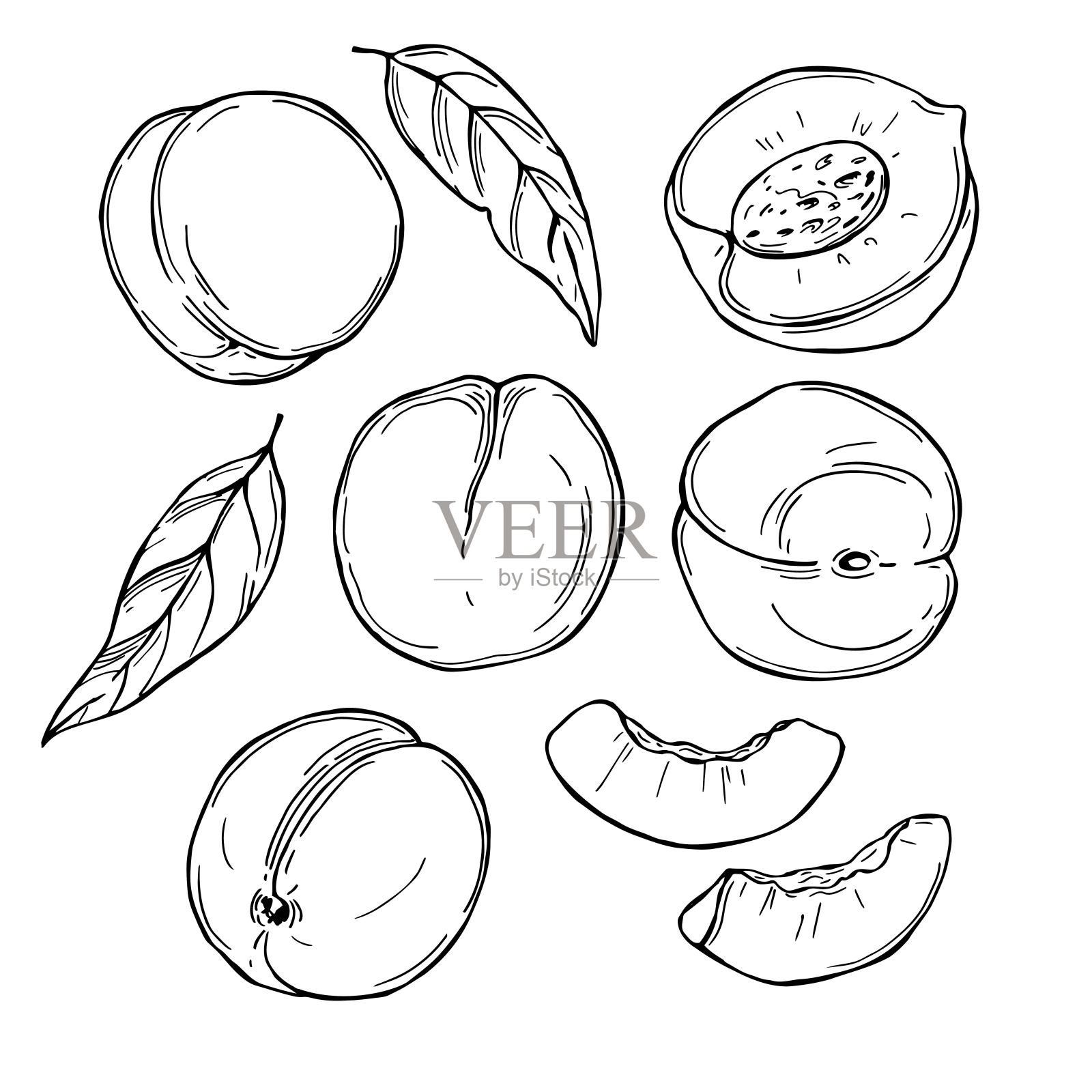 白底上的桃子。矢量插图。设计元素图片