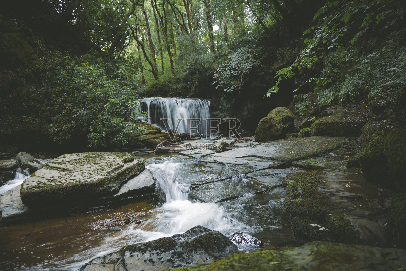 雷迪弗罗到格兰-瑞德照片摄影图片