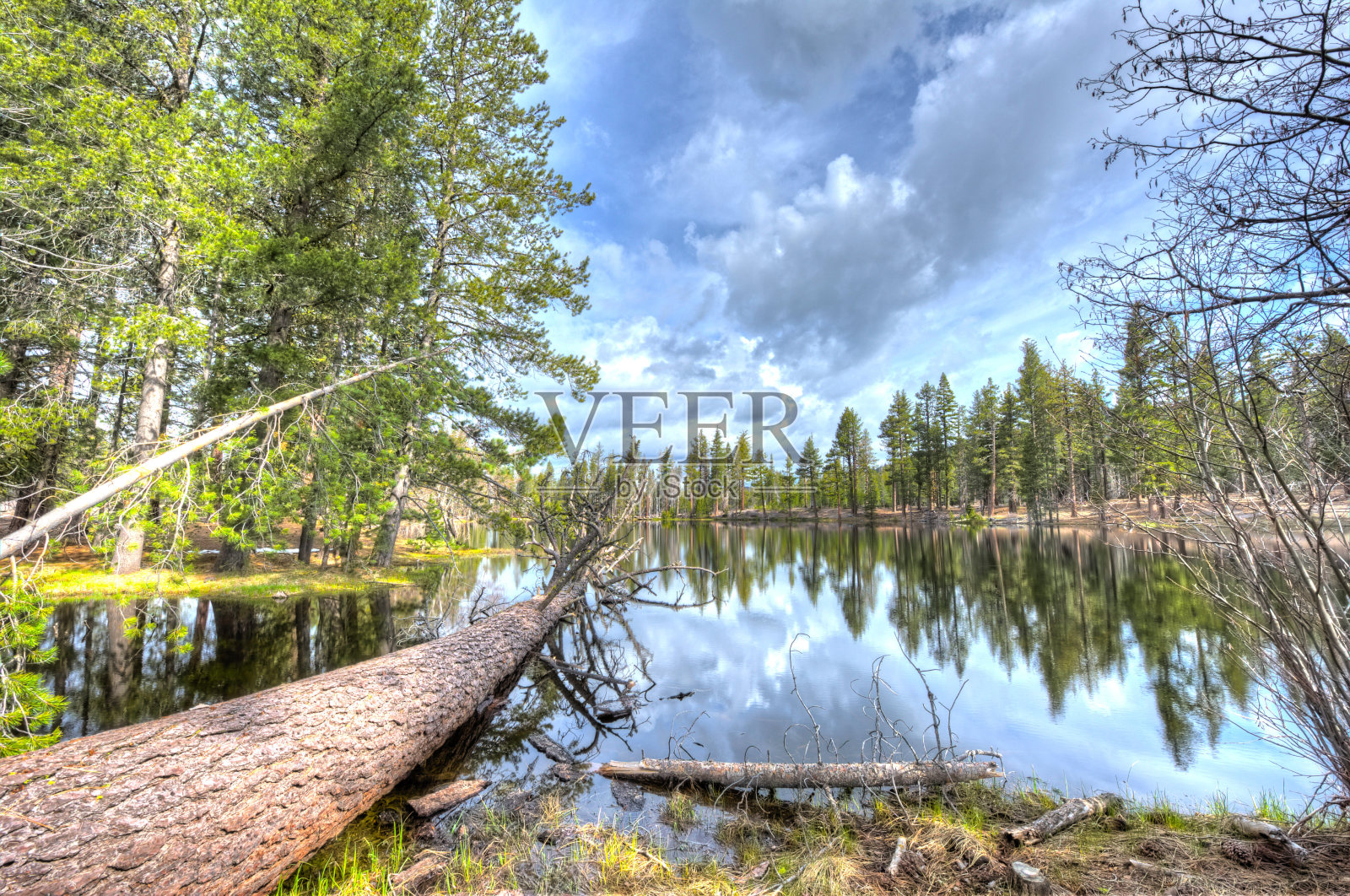 湖的四周有一片树林照片摄影图片