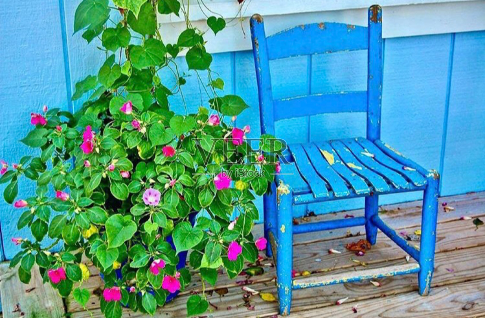 小蓝椅子照片摄影图片