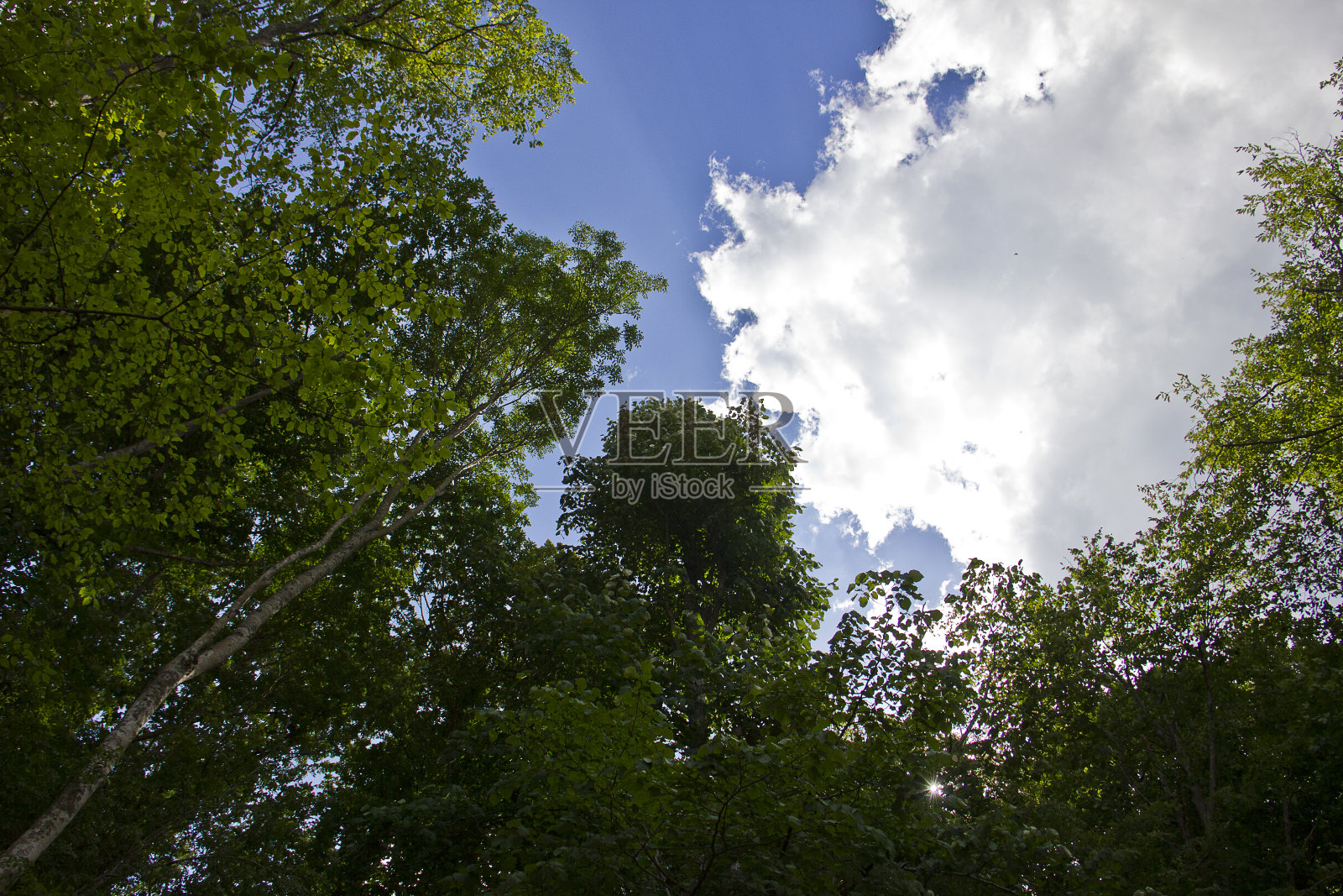 自然的观点照片摄影图片