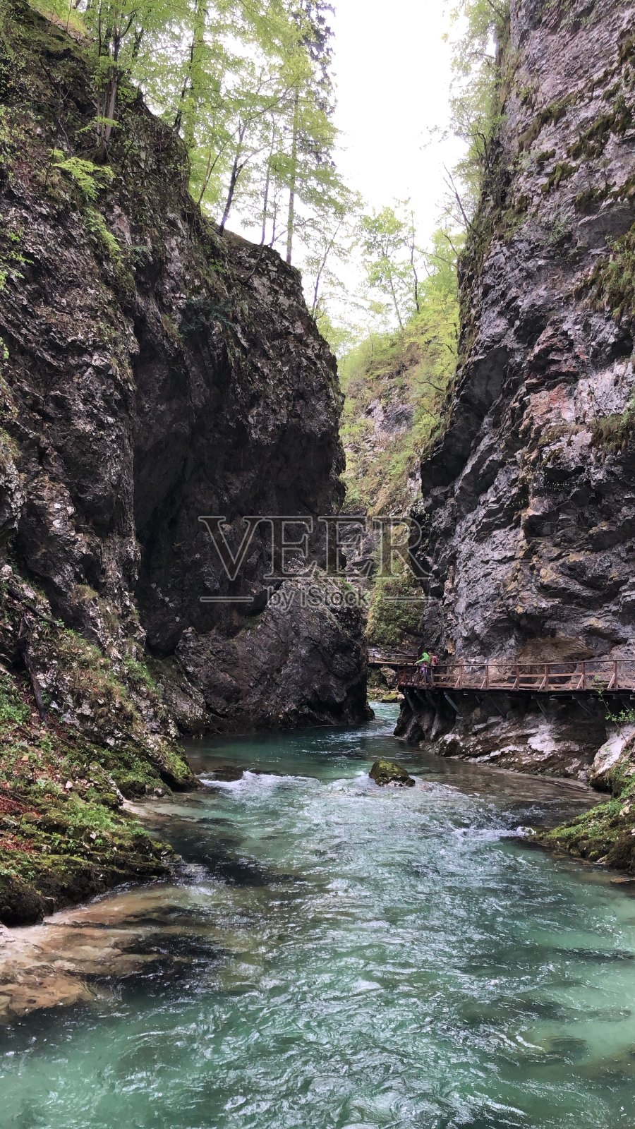 斯洛文尼亚美丽的风景照片摄影图片