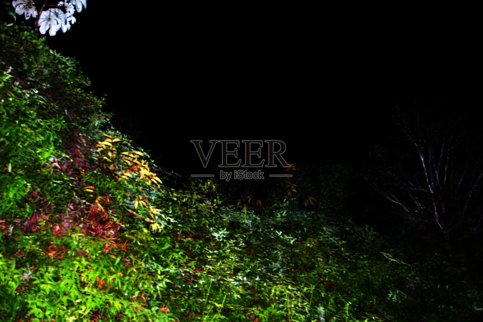 你看到了什么?照片摄影图片