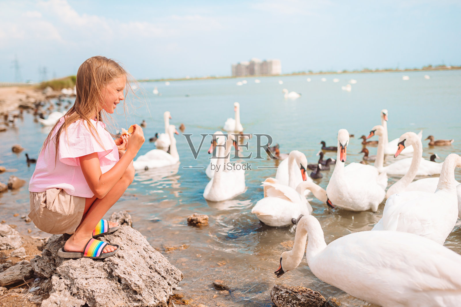 小女孩和天鹅坐在海滩上照片摄影图片