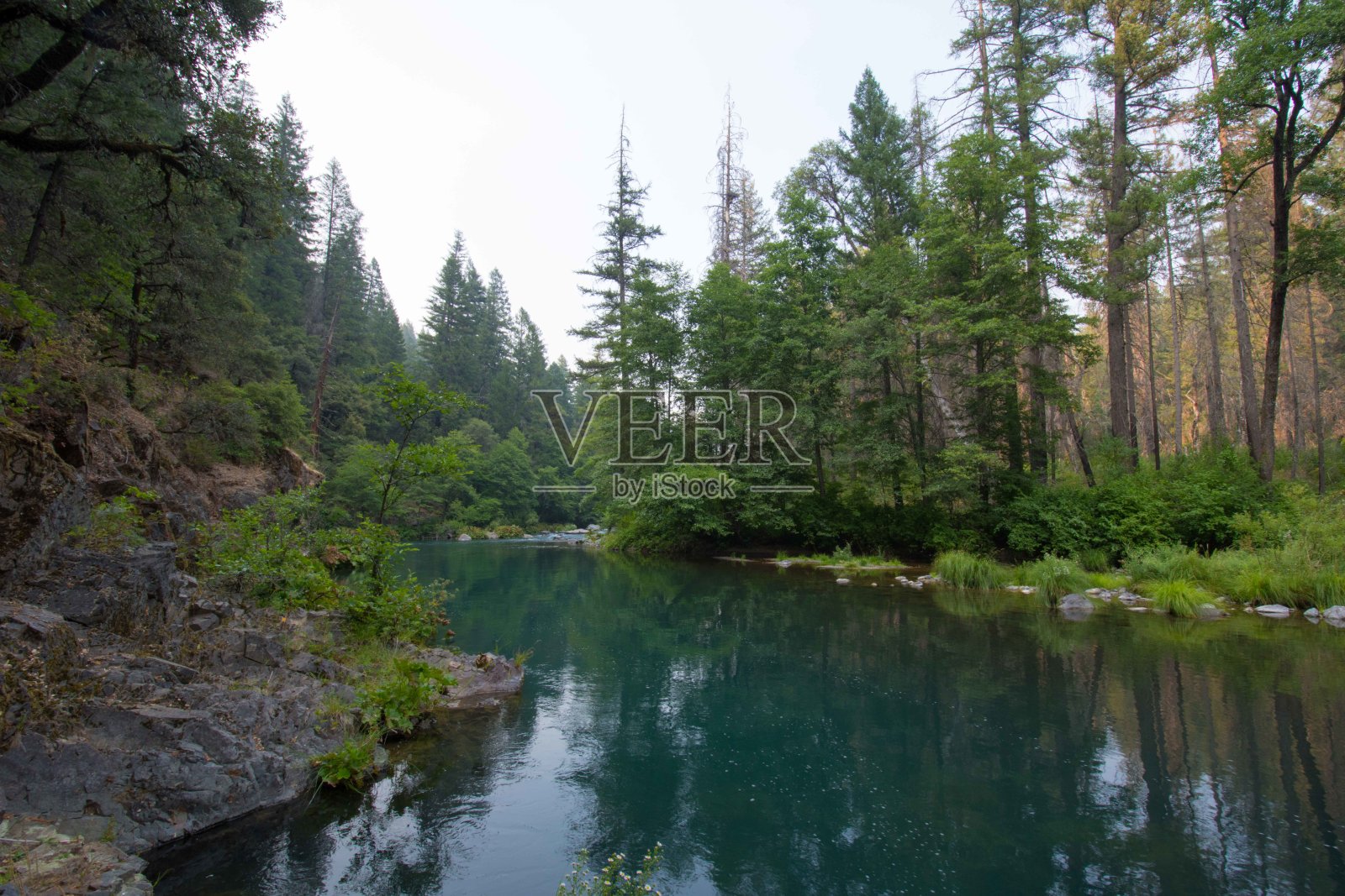麦克克劳德河的森林景色照片摄影图片