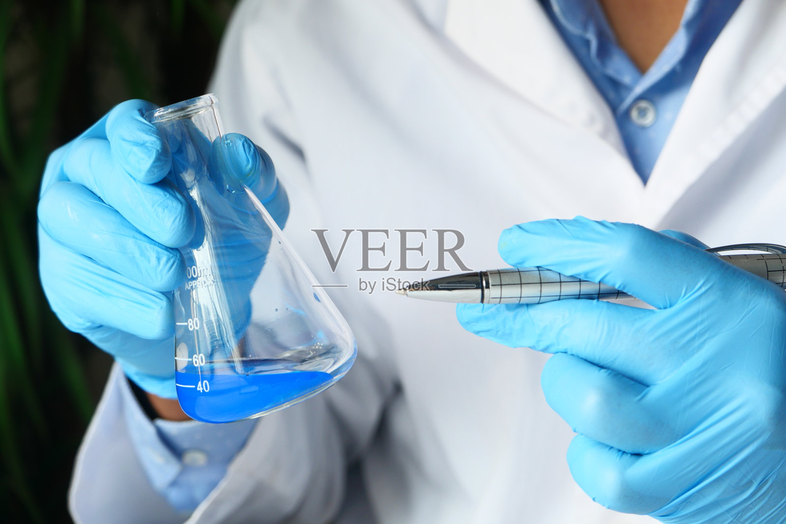 科学家的手拿着实验室玻璃器皿。照片摄影图片