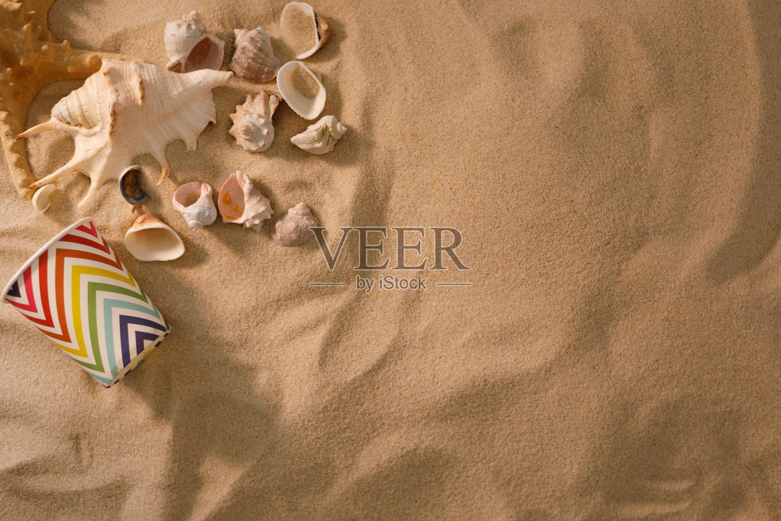 海滩背景有贝壳和海星。假期的概念。前视图。平的。照片摄影图片