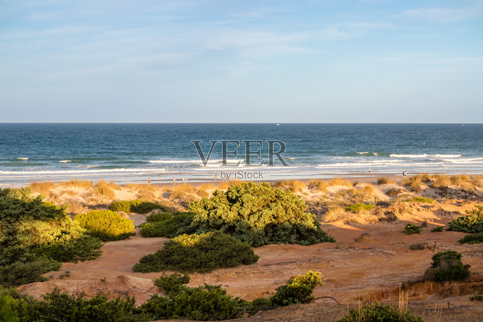 通往西班牙桑蒂佩特里的拉巴罗萨海滩的沙丘，Cádiz。照片摄影图片