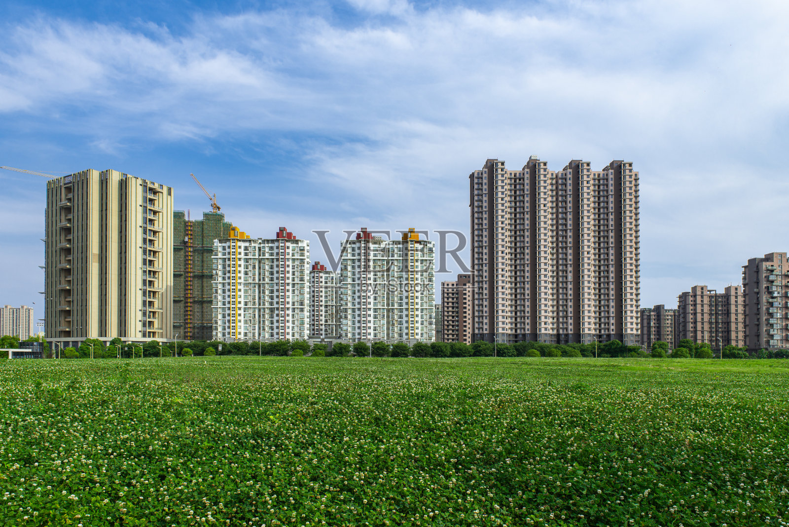 晴朗的天空，城市的建筑，茂密的树林旁的道路照片摄影图片