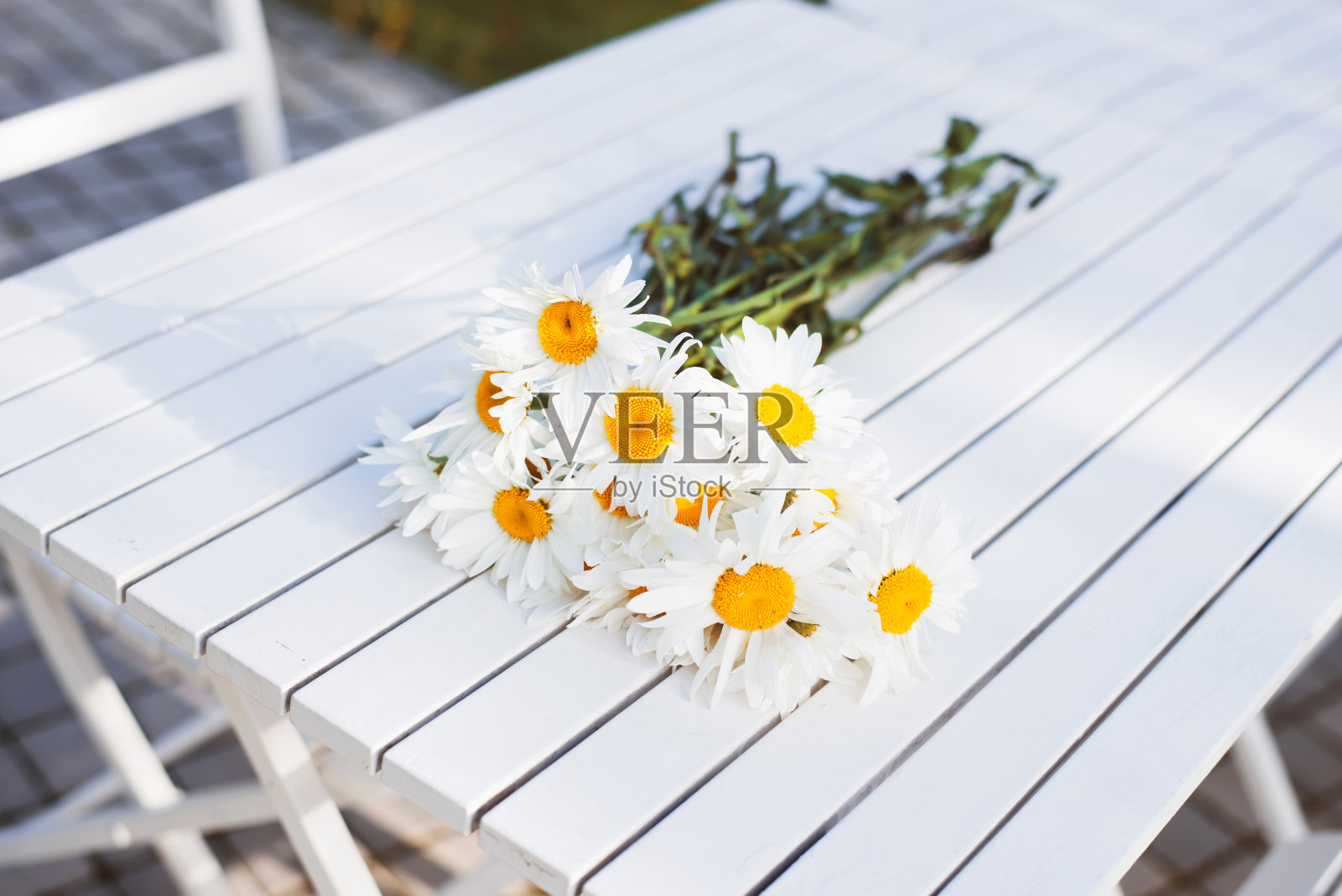 白色的雏菊放在白色的木凳上。一束白色雏菊。照片摄影图片