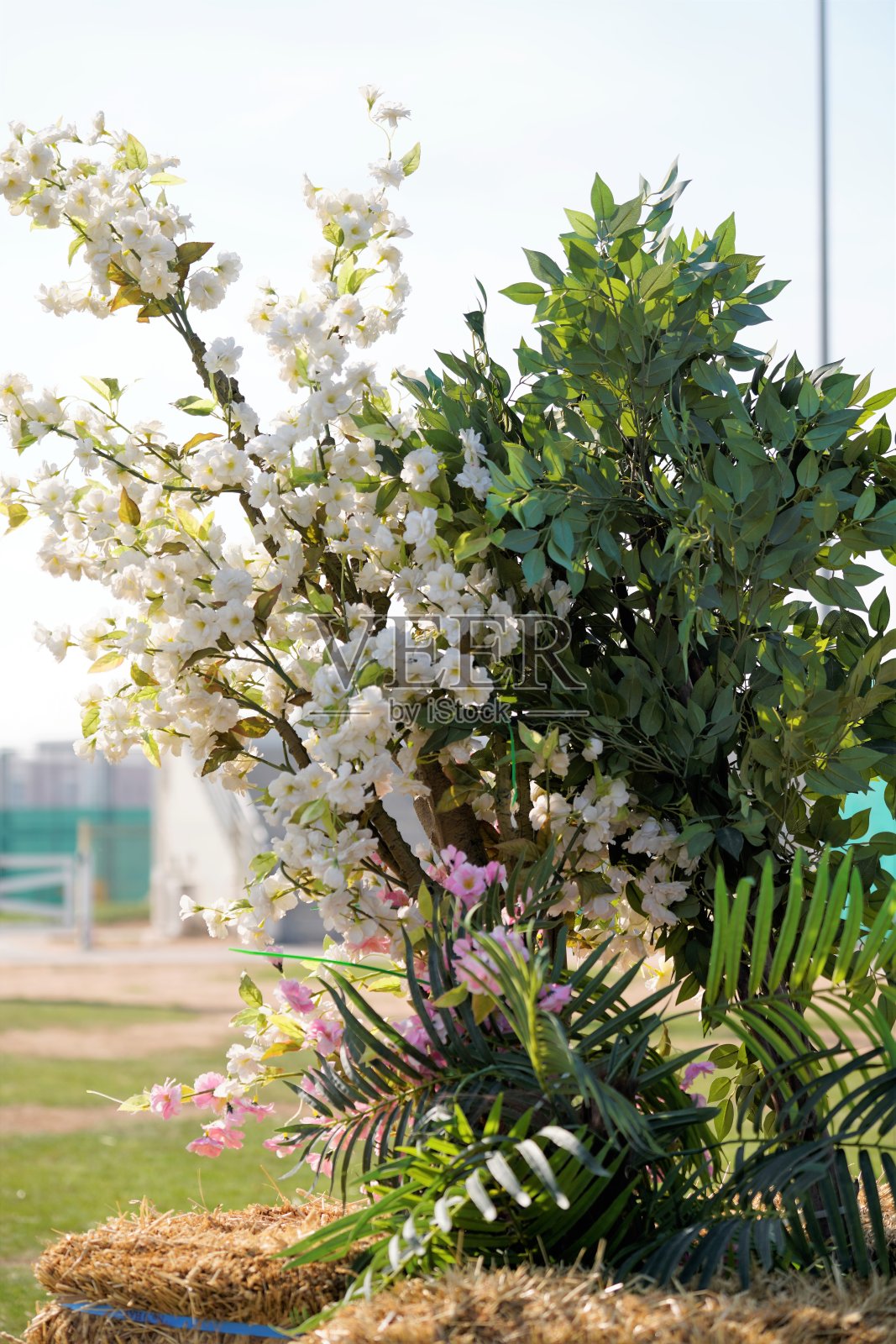 干草堆和开花的灌木丛照片摄影图片