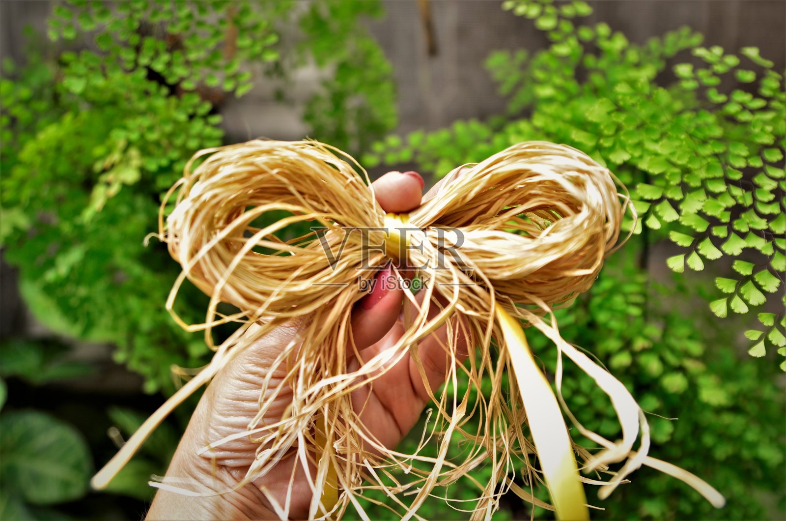 在后院举着草绳照片摄影图片