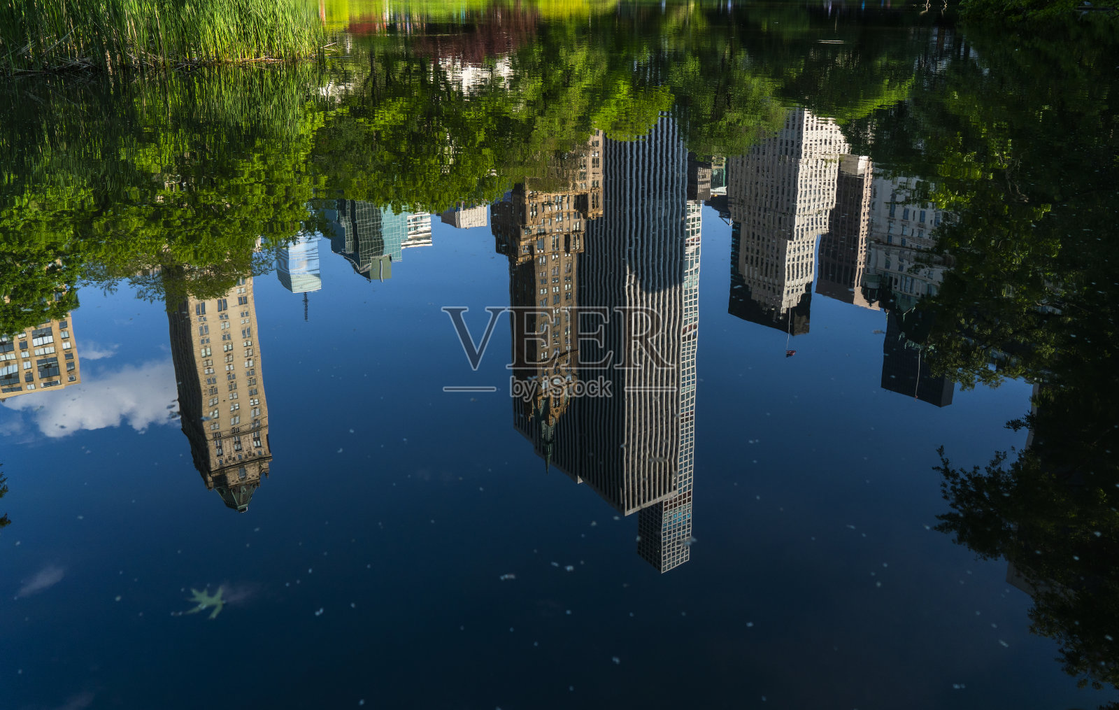 美国纽约中央公园照片摄影图片