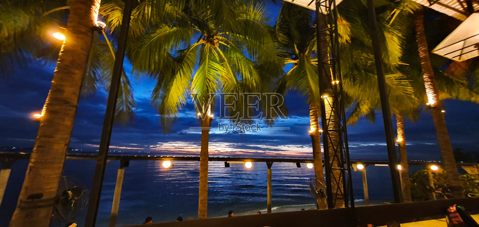 阳光照耀着大海和椰子树照片摄影图片