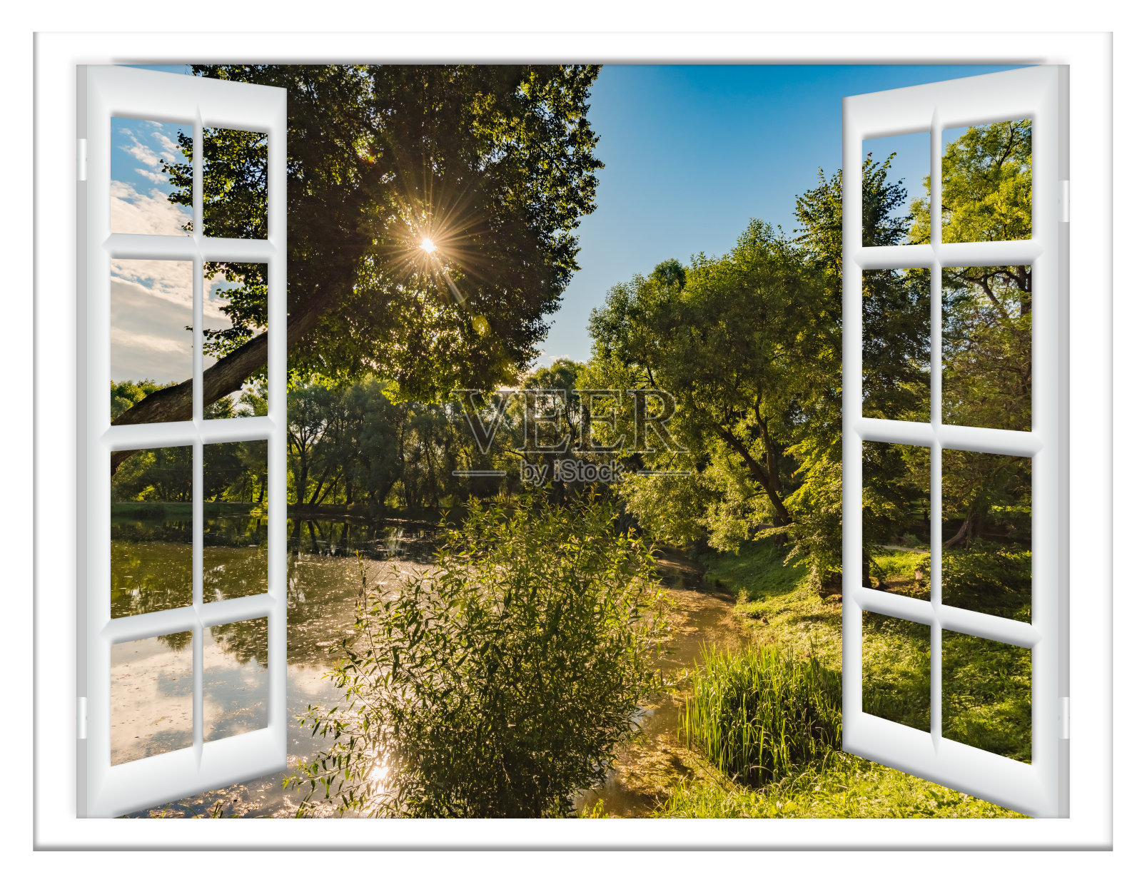 池塘的景色照片摄影图片