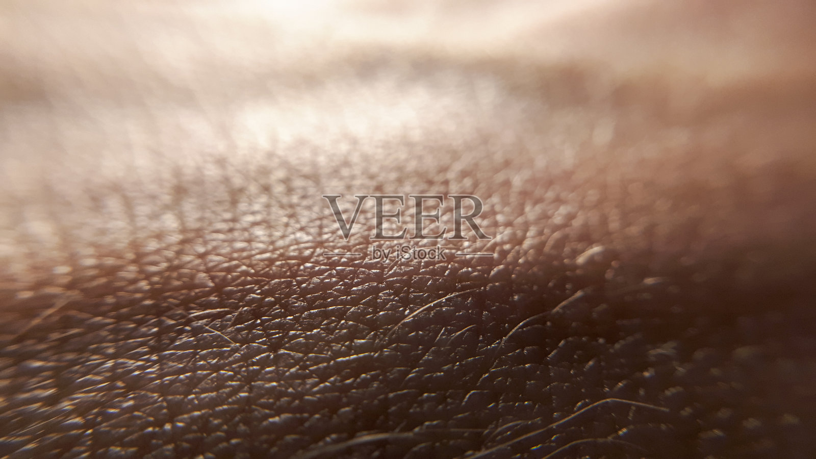 手的模式。宏观，关闭皮肤纹理。Dermatolofy卫生保健照片摄影图片