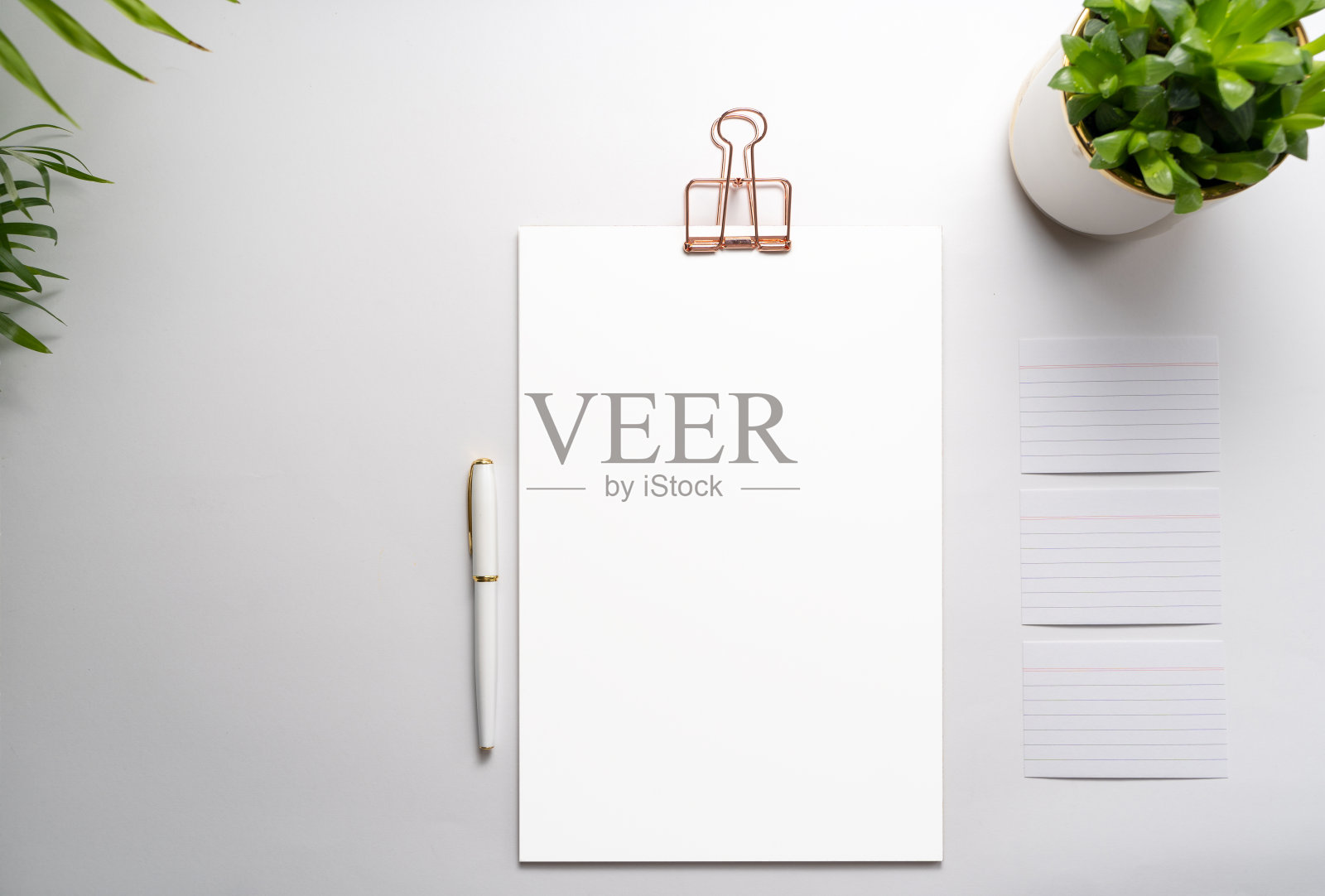 带有金色夹子的剪贴板，钢笔和桌上的植物。品牌文具模型。企业现代项目集照片摄影图片