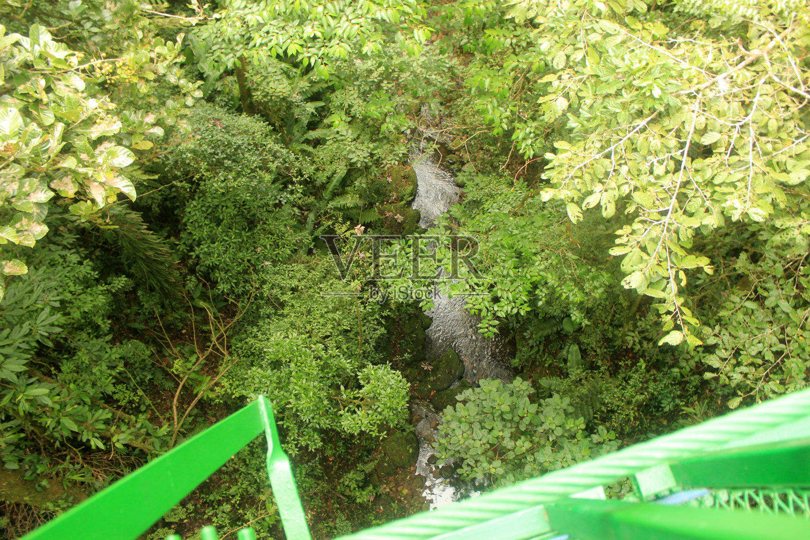 从哥斯达黎加的树冠俯瞰溪流和丛林照片摄影图片