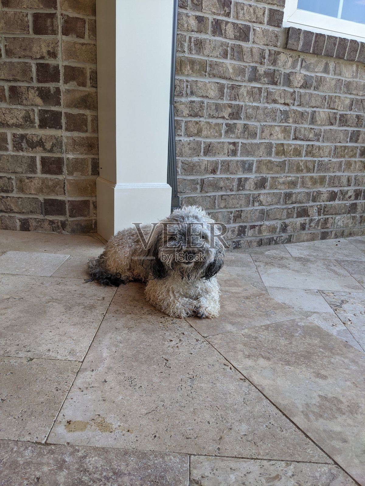 生活是美好的照片摄影图片