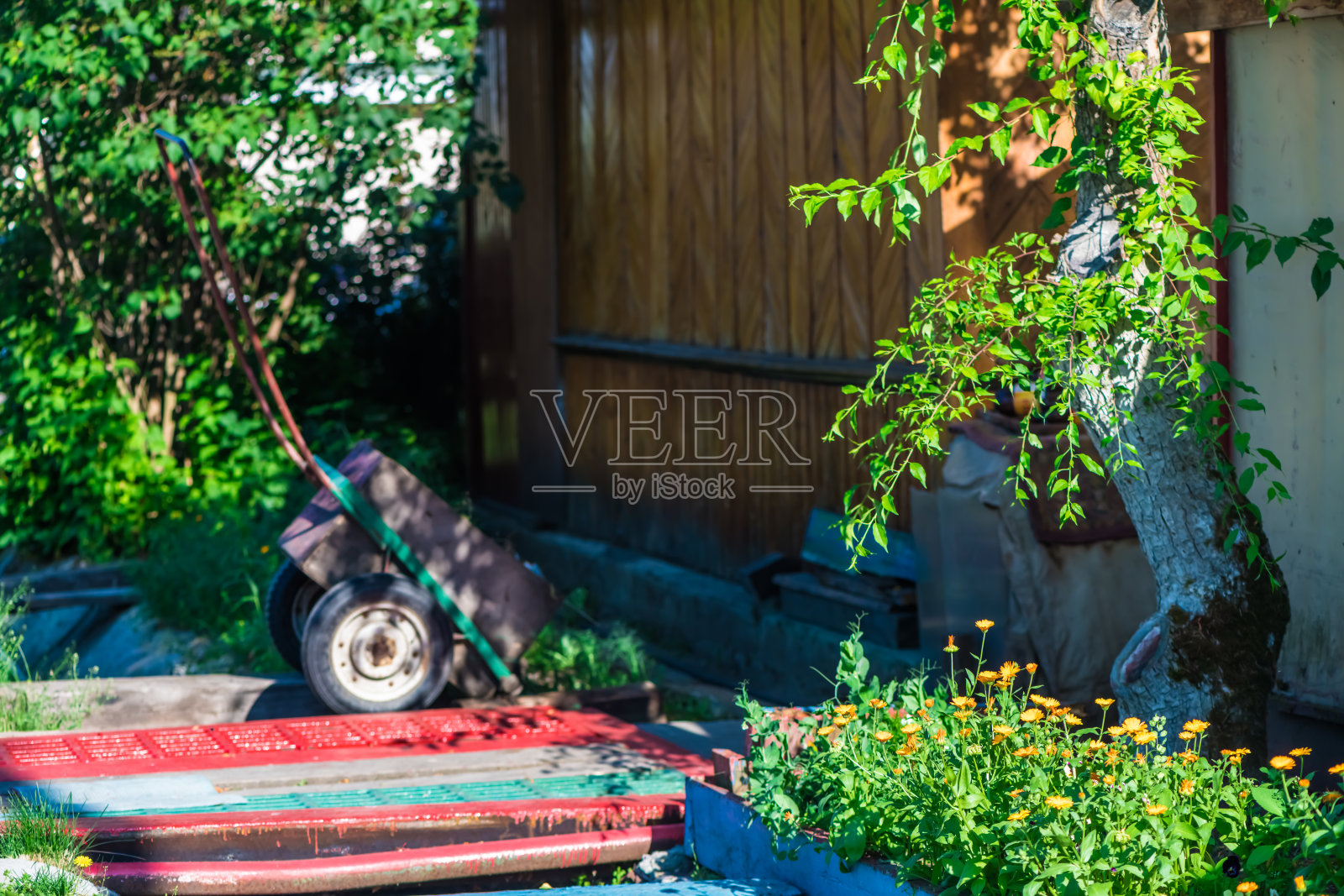 入口处有花园景观。花园手推车，鲜花，阳光照片摄影图片