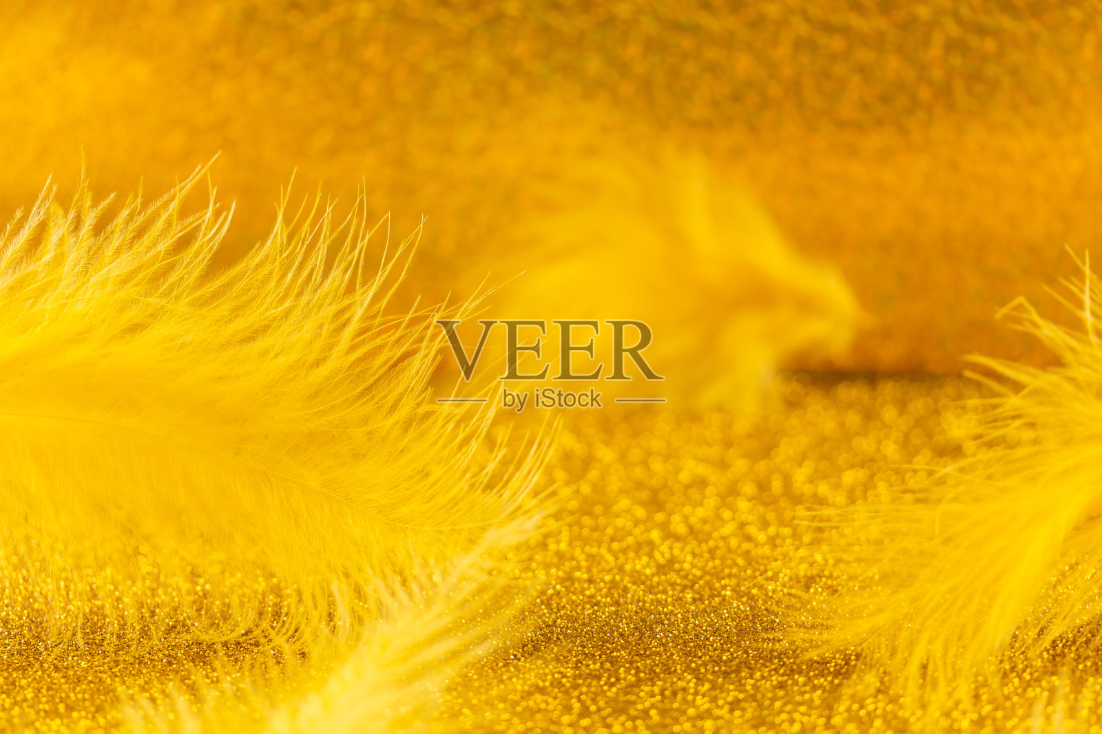 美丽的黄色鸟羽毛上明亮的金色背景特写。有选择性的重点。宏。带散景的抽象背景照片摄影图片