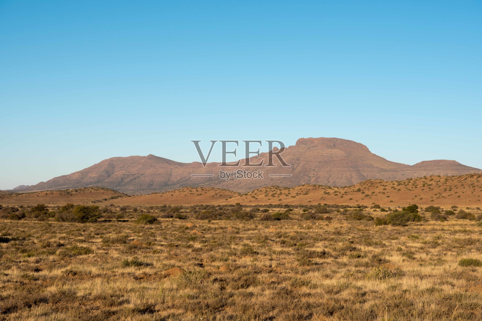 在南非的卡鲁照片摄影图片