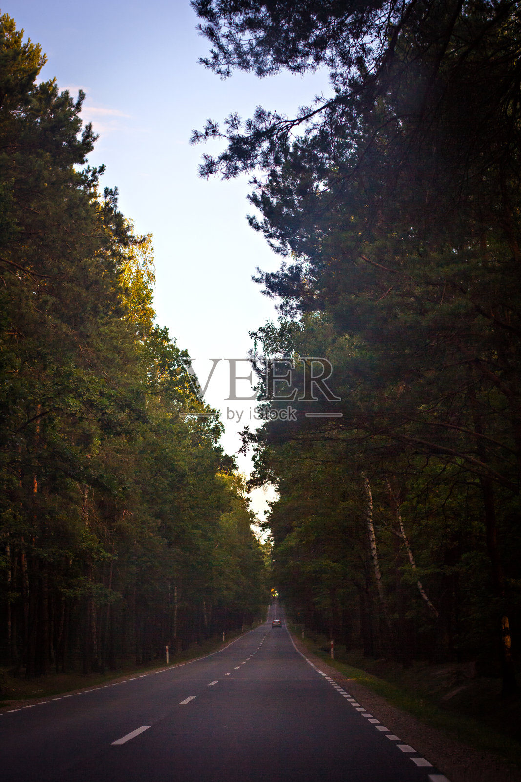 道路被绿树环绕照片摄影图片
