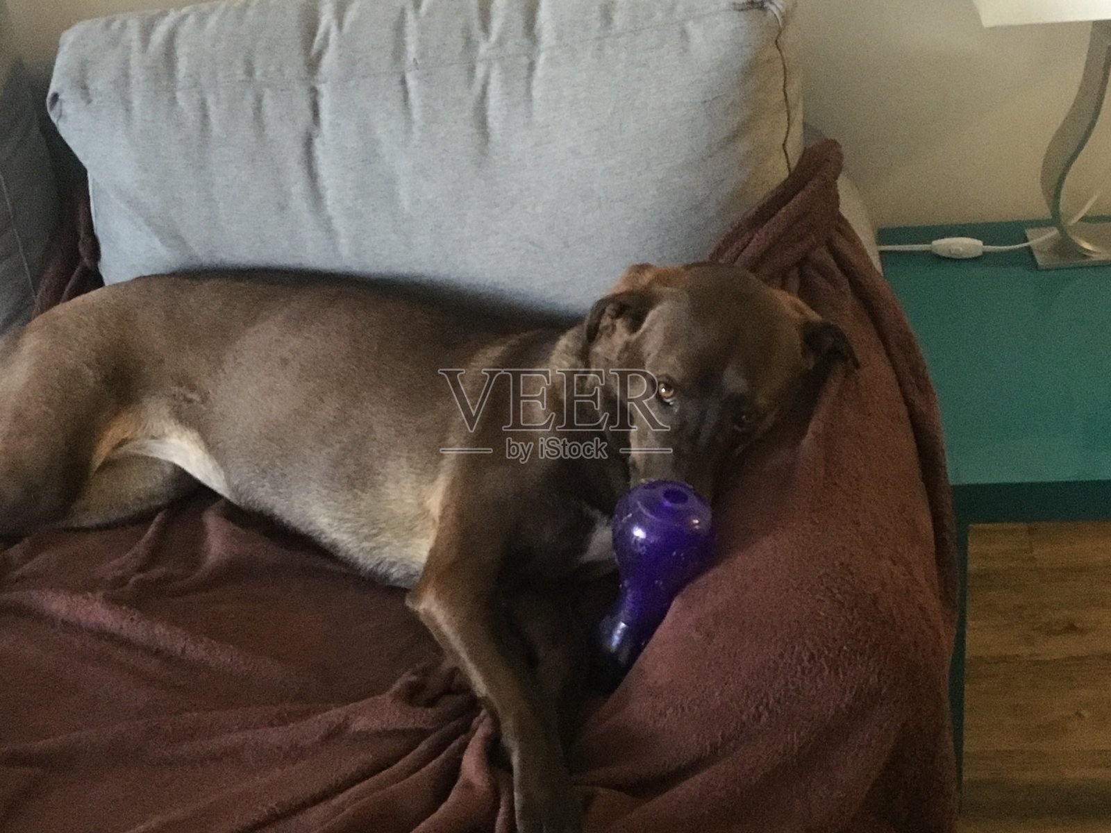 箱照片摄影图片