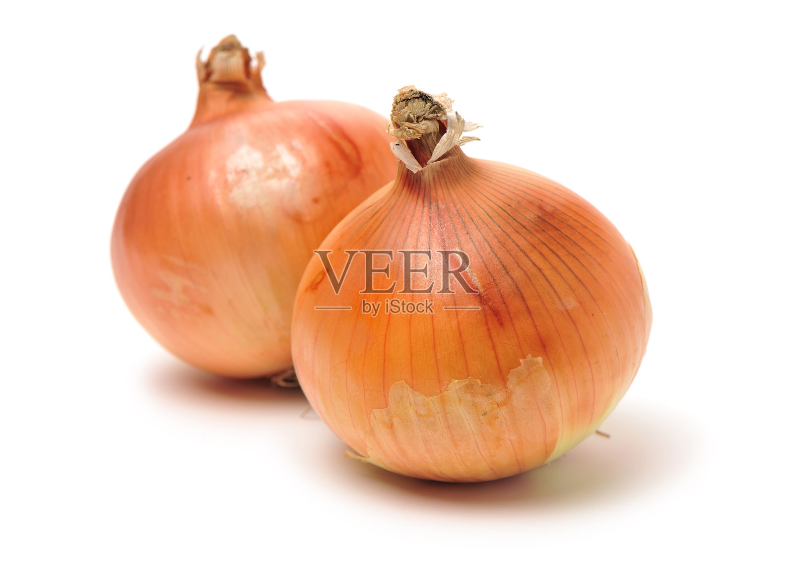 金葱蔬菜球根照片摄影图片