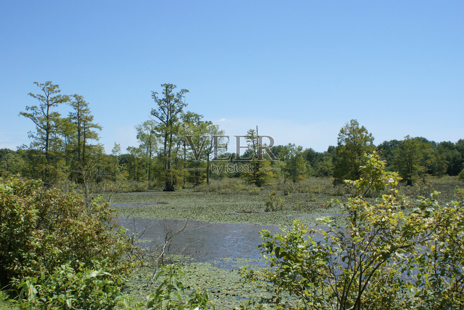 湖的生活照片摄影图片