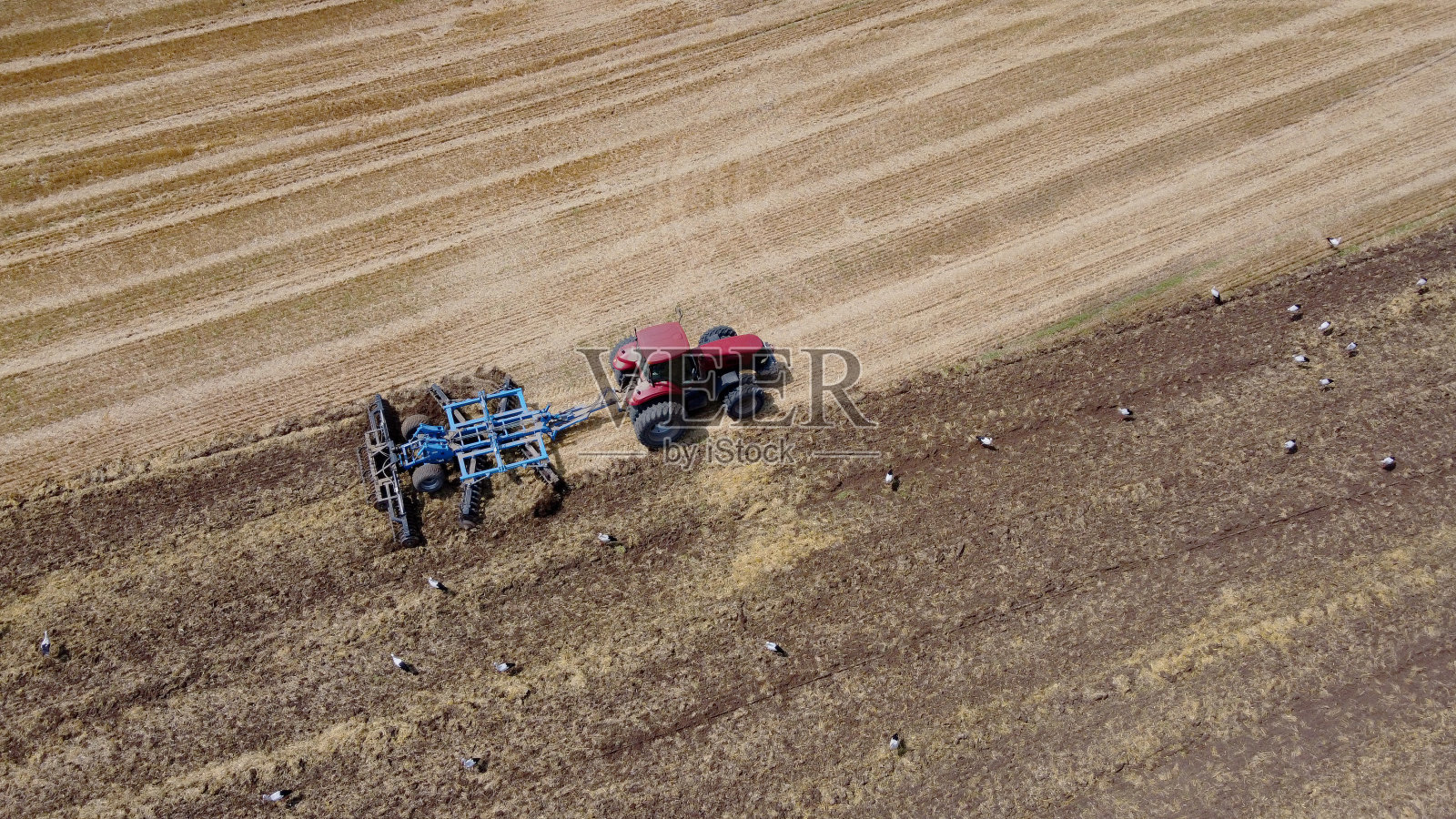 田间耕作的红色拖拉机或联合收割机鸟瞰图。工业化农业照片摄影图片