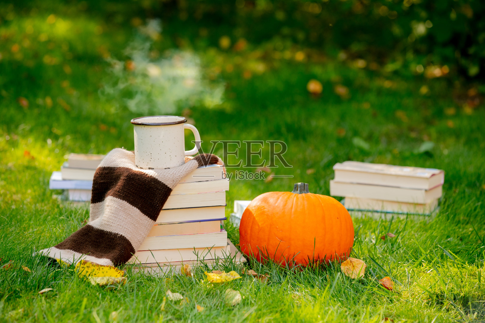 南瓜、书和一杯咖啡在花园里的绿草地上照片摄影图片