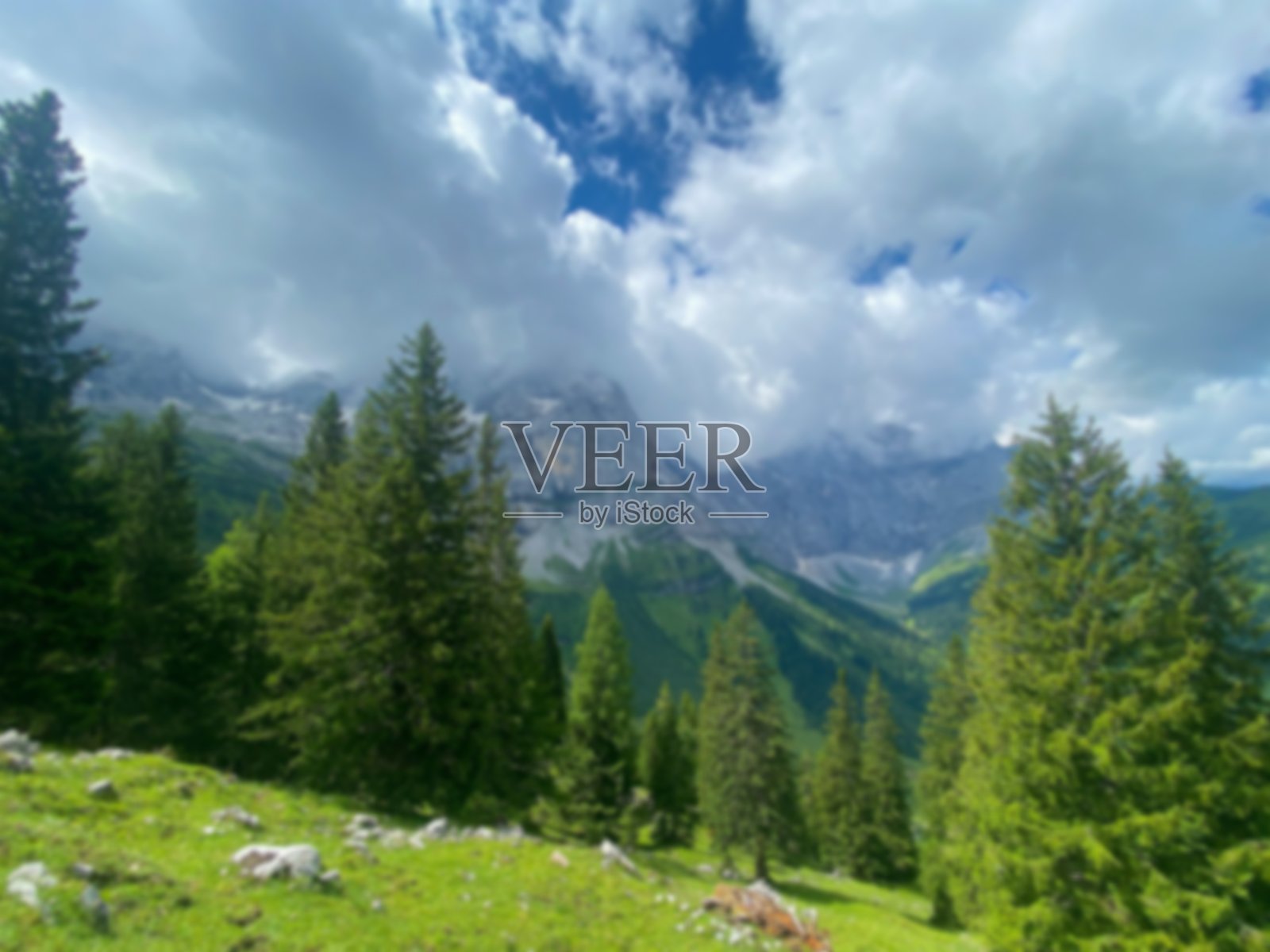 在阿尔卑斯山的田园诗般的风景与新鲜的绿色草地，白雪皑皑的山顶在背景。国家公园国家公园Grosser Ahornboden Eng-Alm。奥地利蒂罗尔照片摄影图片