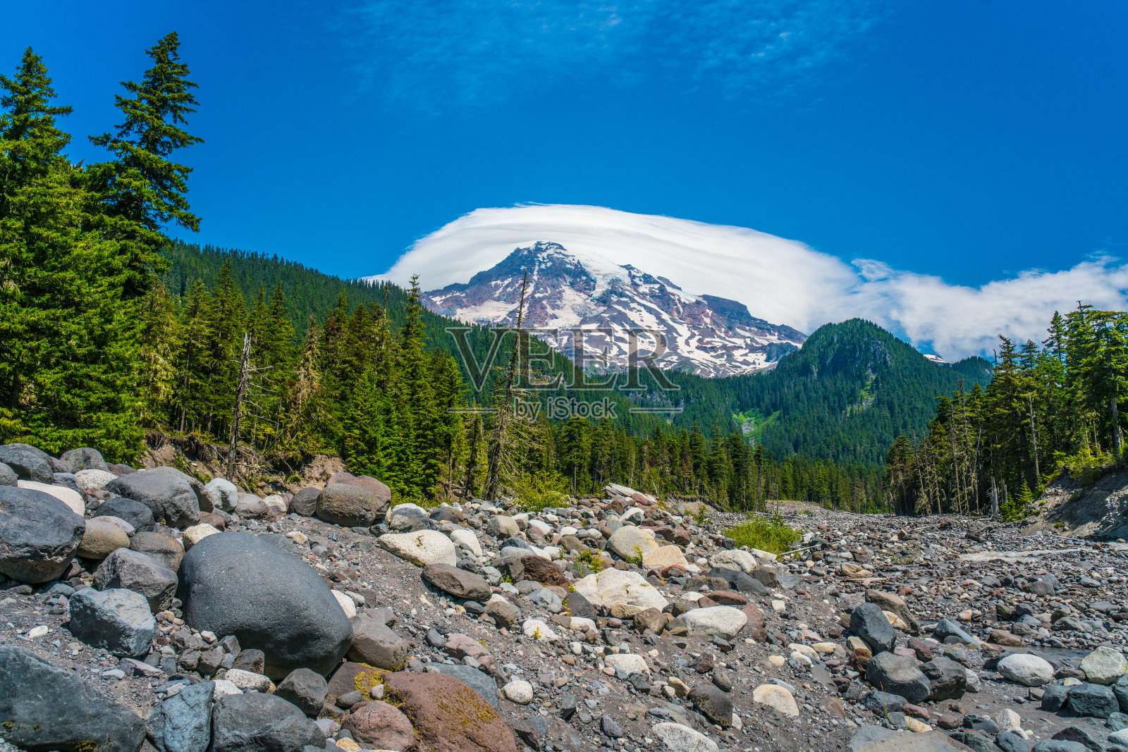 雷尼尔山照片摄影图片