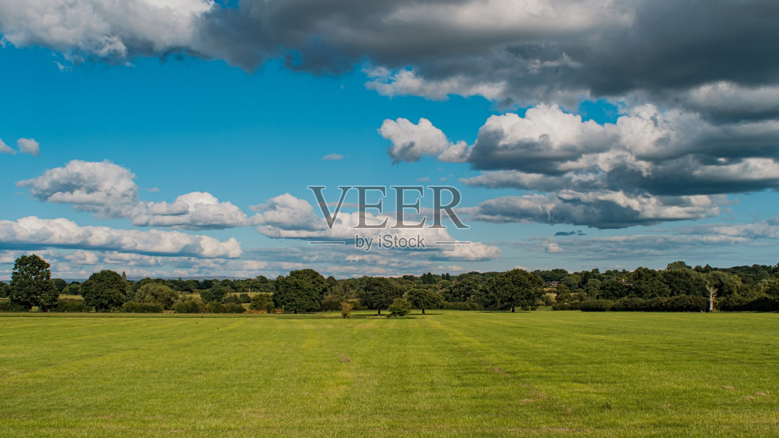 绿色的草地背景在英国照片摄影图片