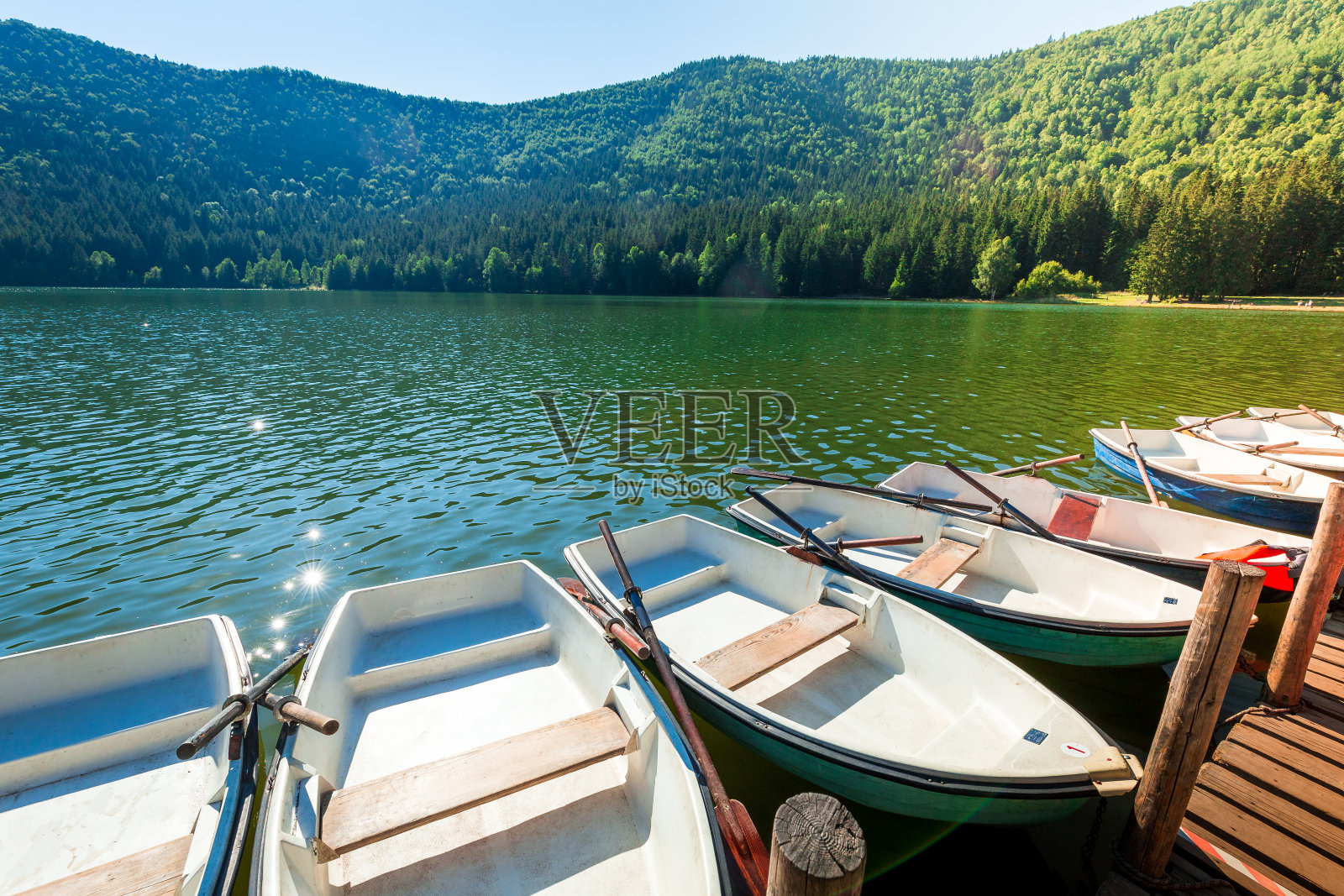 划艇在波光粼粼的夏日湖面上划成一排照片摄影图片