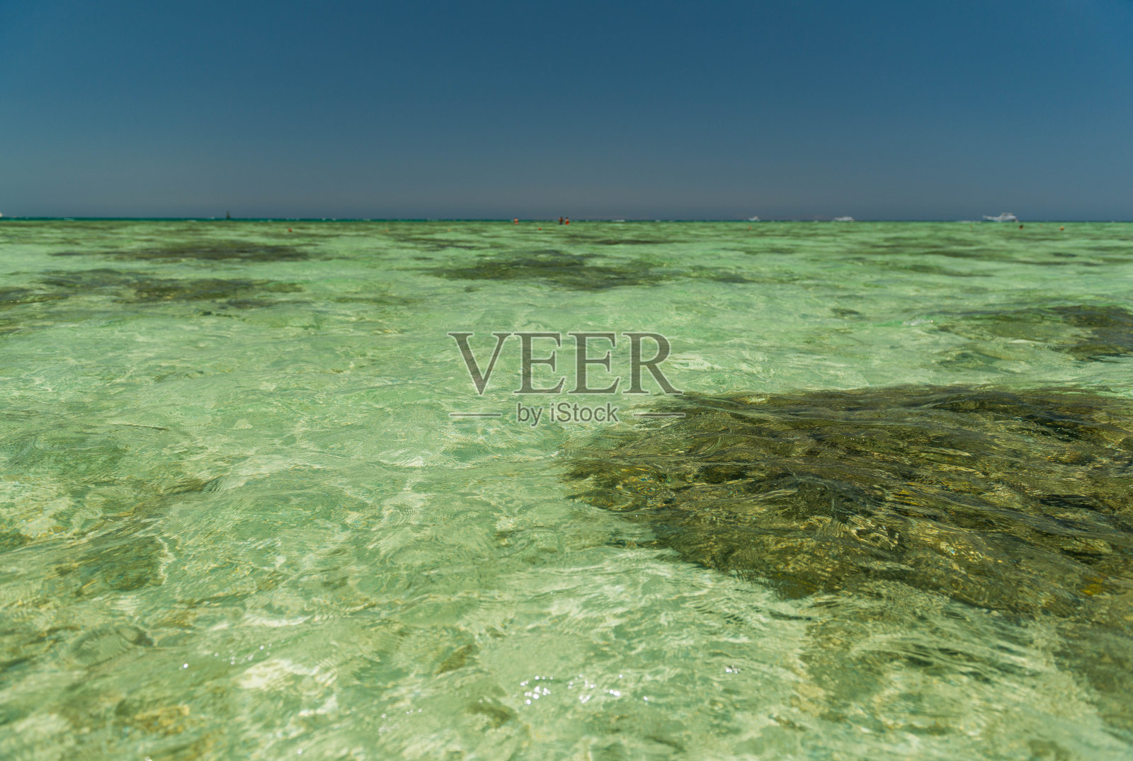 波浪表面下的珊瑚海景照片摄影图片