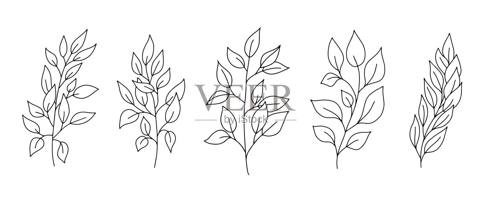 在白色背景上的各种手绘矢量叶的集合插画图片素材