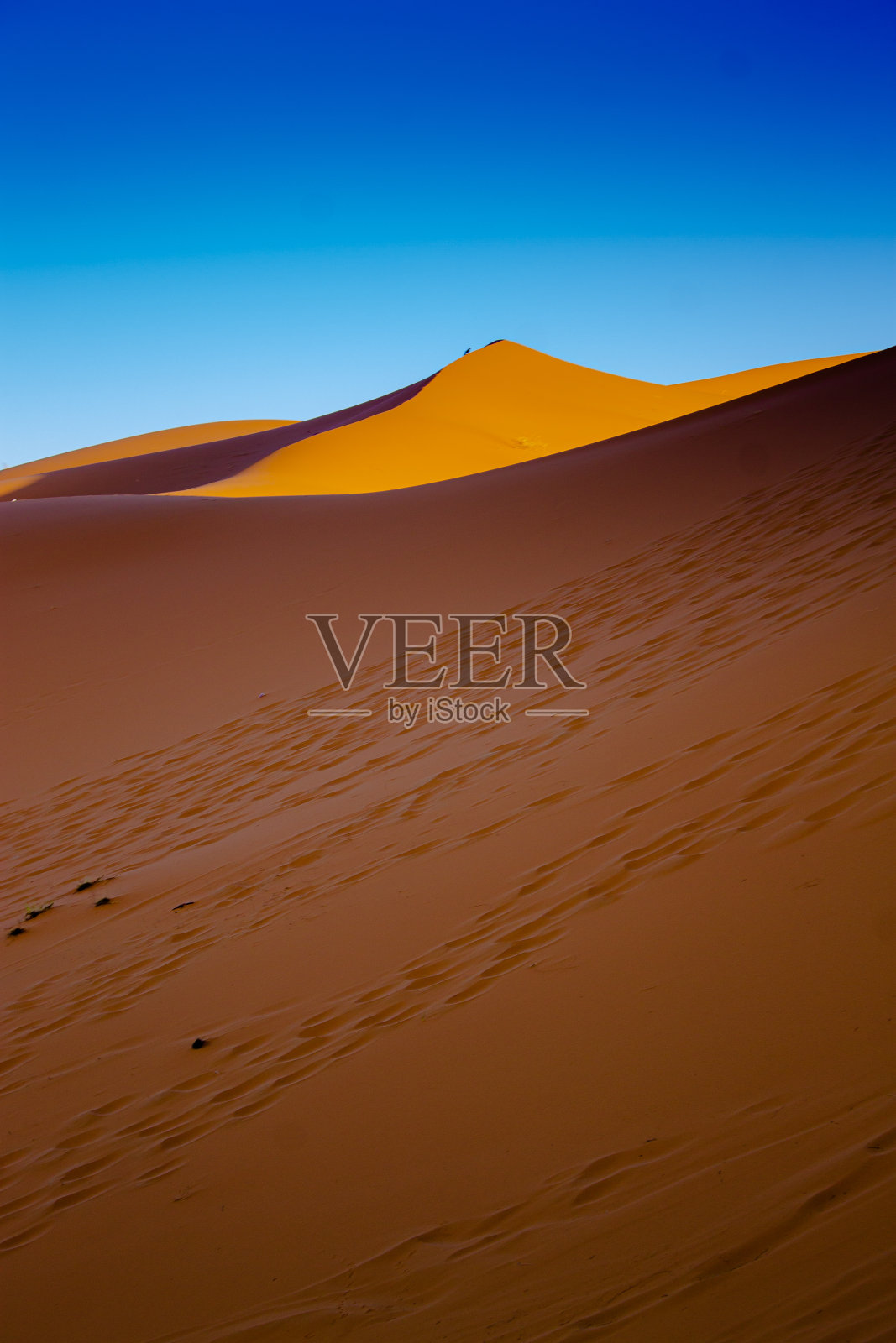 小路和沙丘照片摄影图片