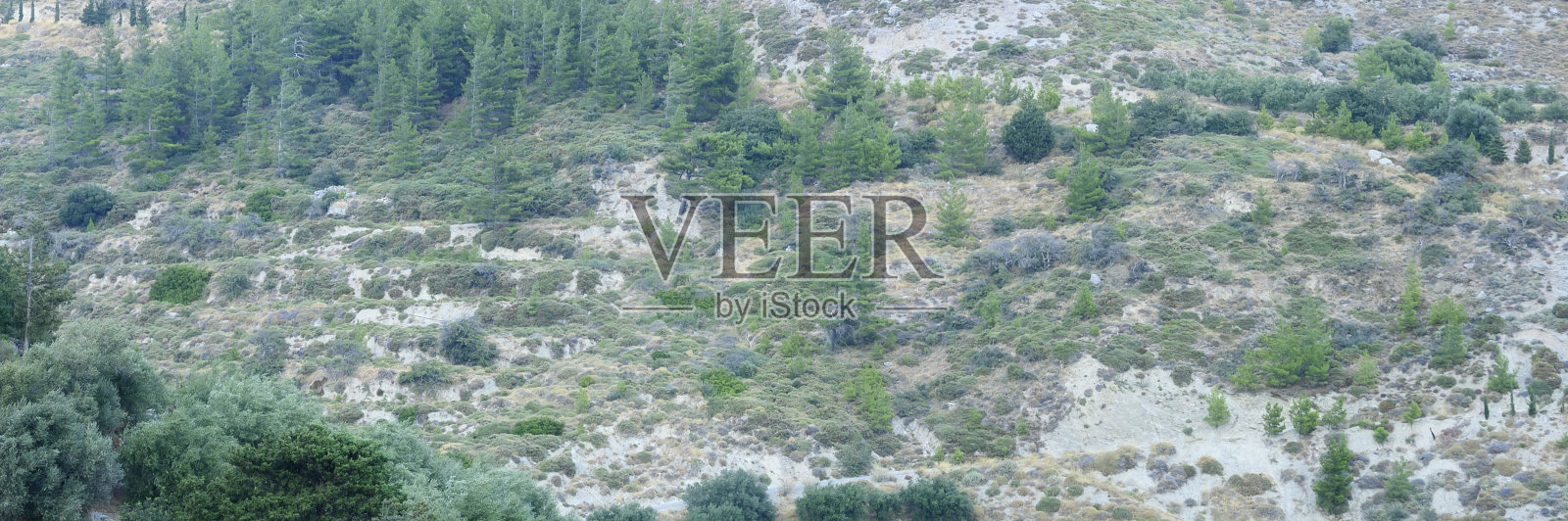 山的风景。山景与树木和灌木丛。横幅照片摄影图片