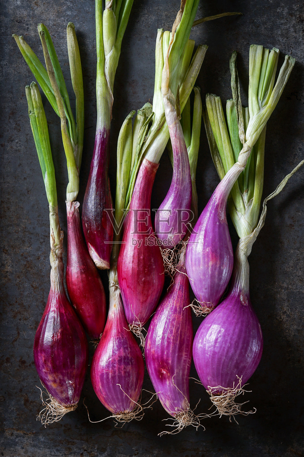 新鲜的蔬菜照片摄影图片
