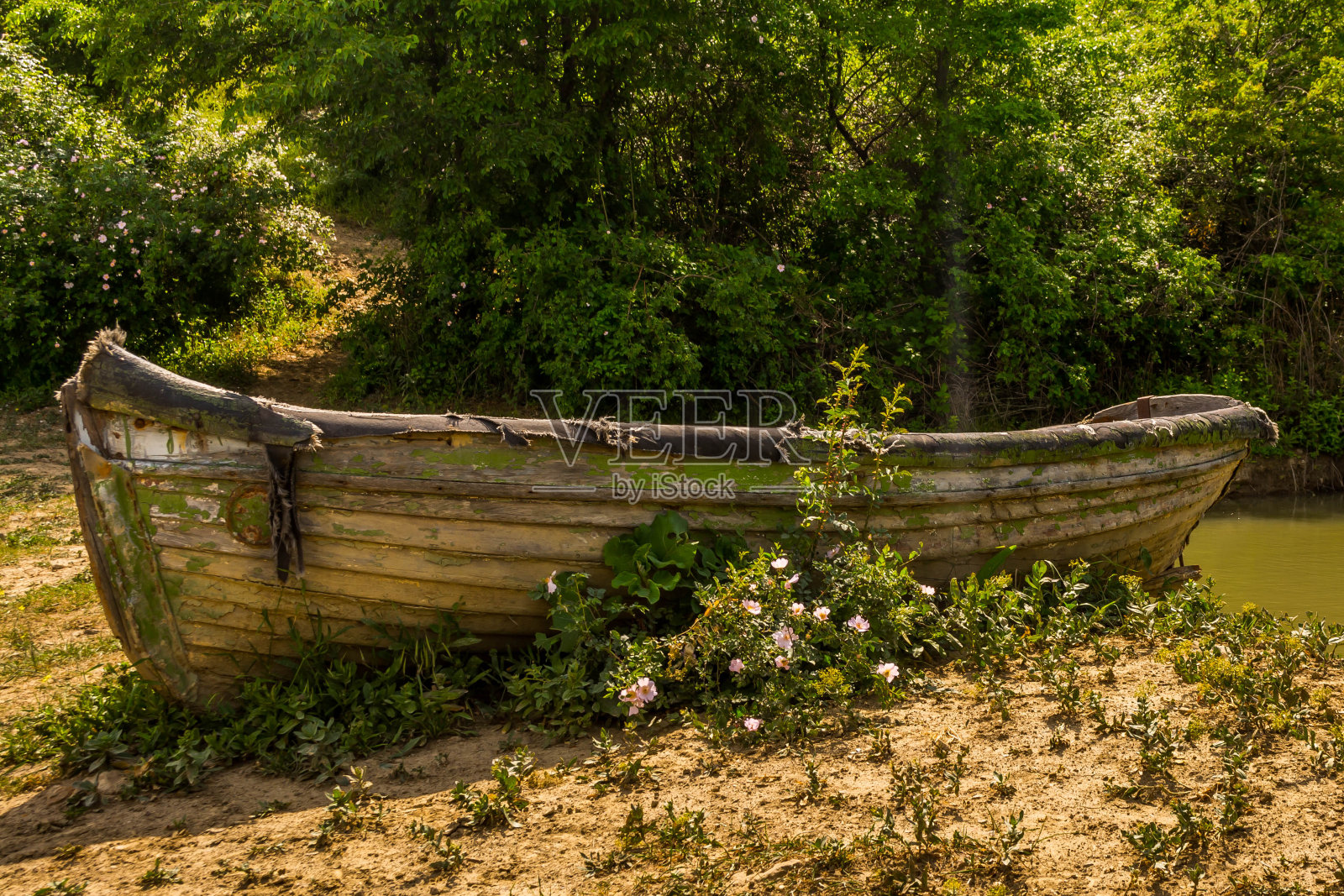 旧木船照片摄影图片