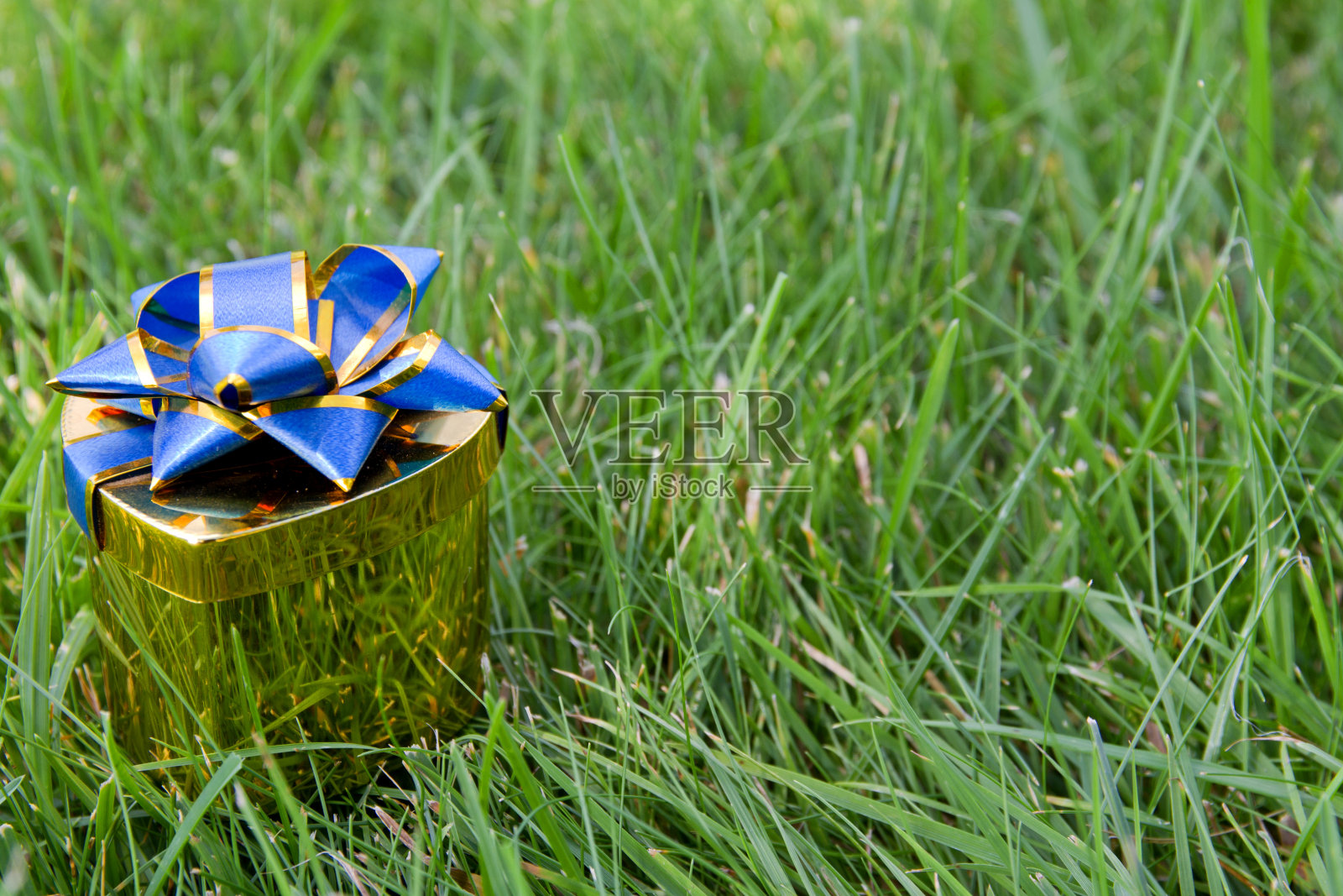 绿草背景上带蓝色蝴蝶结的金色礼盒。草地上的情人节心形礼盒照片摄影图片
