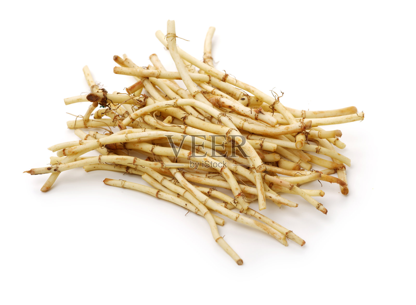 鱼腥草是一种有气味的草本植物。在长江流域以南的中国各省。照片摄影图片