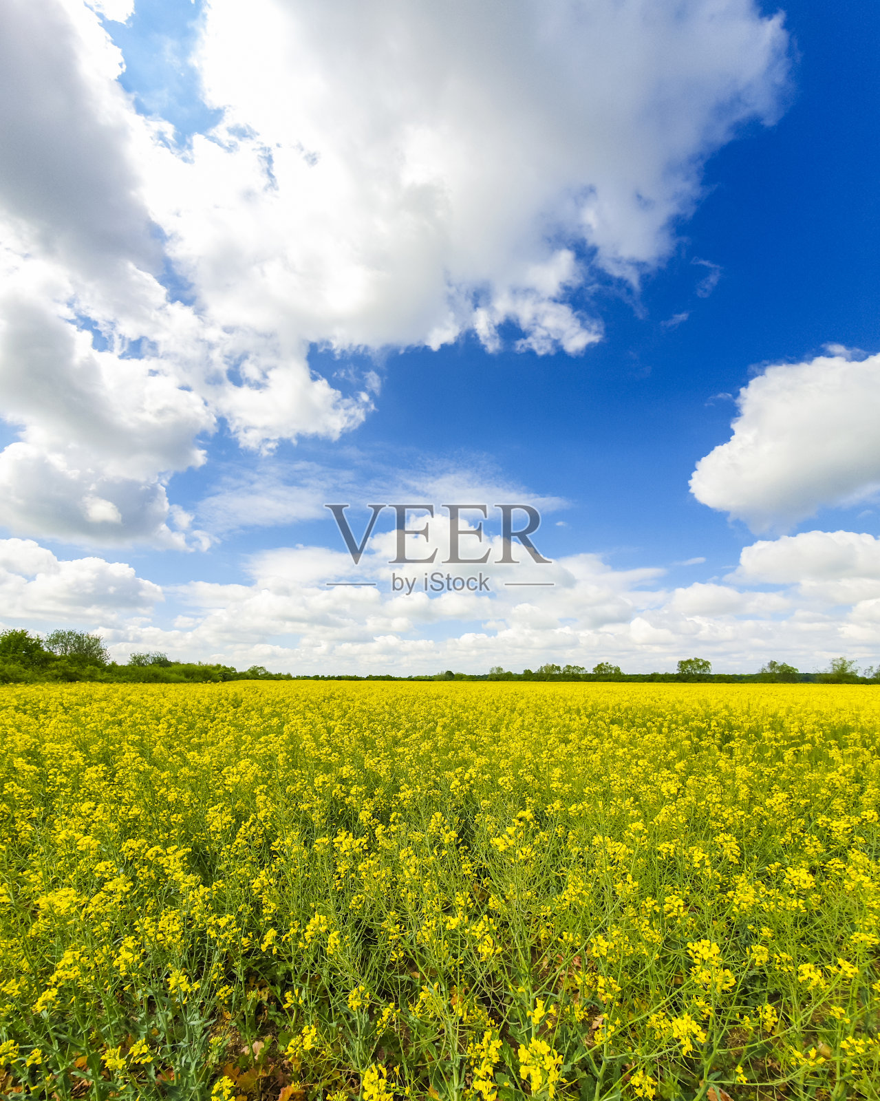 美丽的欧洲乡村照片摄影图片