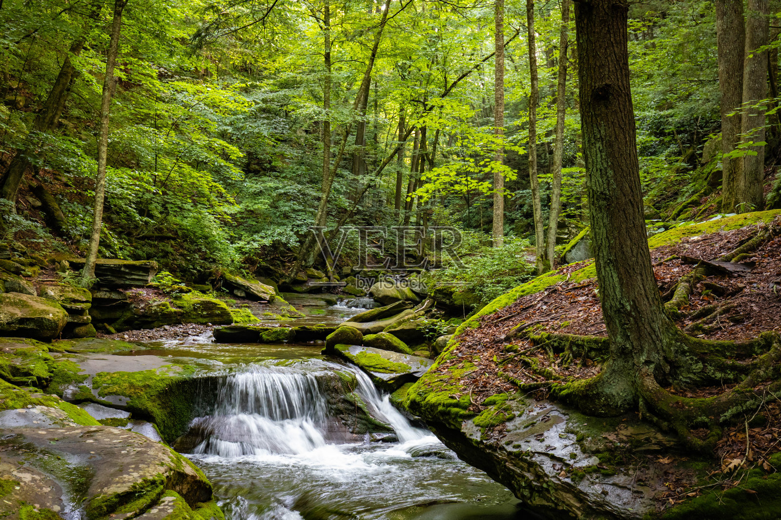 美丽的岩石日落森林河瀑布夏天的一天照片摄影图片
