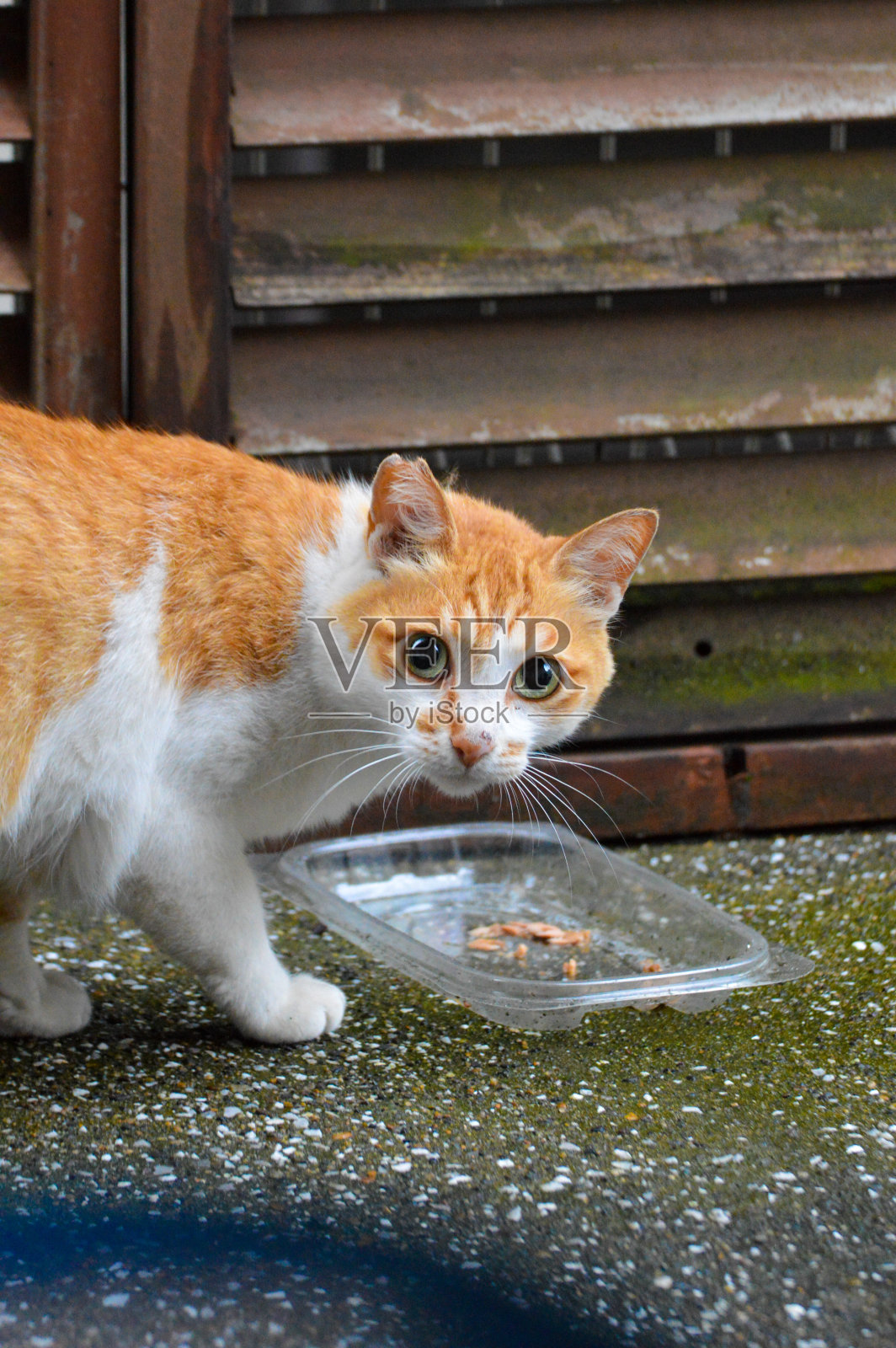 偷偷摸摸照片摄影图片