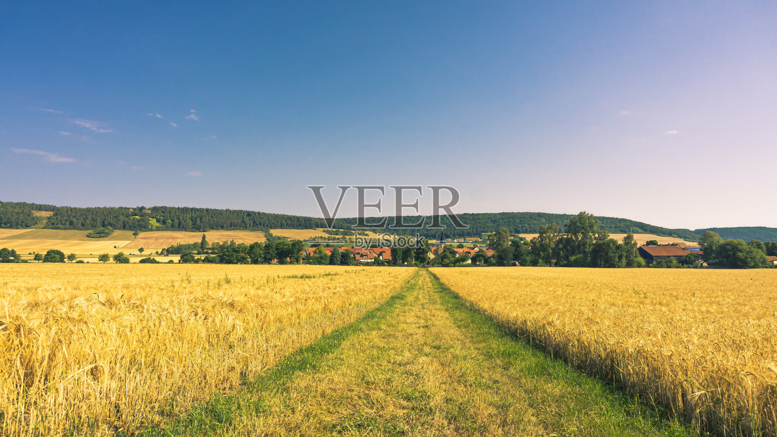 从野外看到的景色照片摄影图片