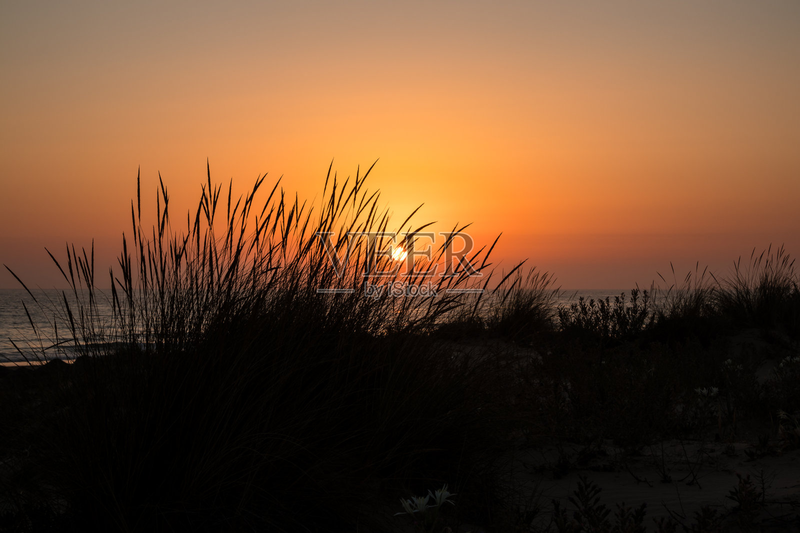 西班牙加的斯，圣佩特里，拉巴罗萨海滩上的日落照片摄影图片